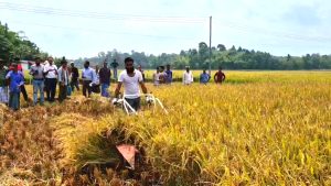 মেশিনের সাহায্যে একজন কৃষক জমির ধান কাটছেন   